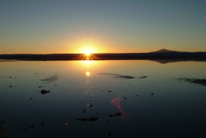 Altiplaniska laguner och röda stenar från San Pedro de Atacama