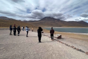 Altiplaniska laguner och röda stenar från San Pedro de Atacama