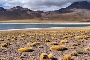 Altiplaniska laguner och röda stenar från San Pedro de Atacama