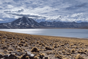 Altiplaniska laguner och röda stenar från San Pedro de Atacama