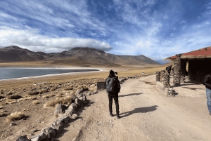 Altiplaniska laguner och röda stenar från San Pedro de Atacama