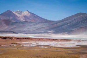 Altiplano: Explore the Spectacular Landscapes of Chile