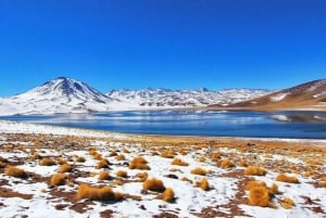 Altiplano: Explore the Spectacular Landscapes of Chile