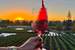 Alyan Family sunset winery (vignoble du crépuscule de la famille Alyan)