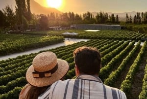 Privétour Alyan Sunset & Dine