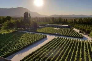 Privétour Alyan Sunset & Dine