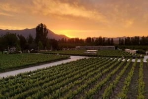 Privétour Alyan Sunset & Dine