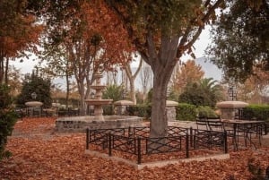 Privétour Alyan Sunset & Dine