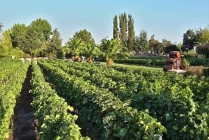 Privétour Alyan Sunset & Dine