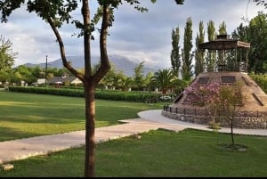 Privétour Alyan Sunset & Dine