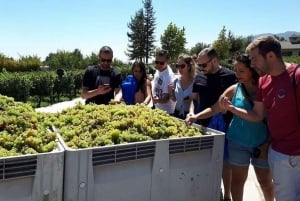 Privétour Alyan Sunset & Dine