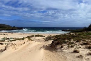 Ancestors Journey: Ahu Tongariki Rano Raraku & Anakena Beach