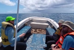 Ancestral fishing: Fishing with an experienced Rapa Nui
