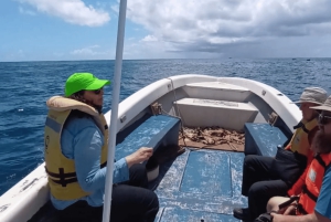 Angeln nach alten Traditionen: Fischen mit einem erfahrenen Rapa Nui