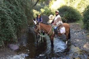 Santiago: paardrijden van een halve dag in de uitlopers van de Andes