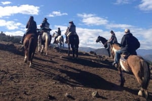 Santiago: Half-Day Private Andean Foothills Horseback Riding
