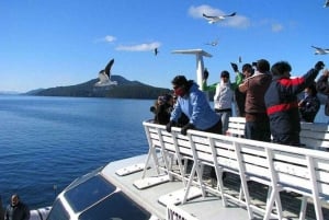 Andean Lakes Crossing Journey from Bariloche to Puerto Varas