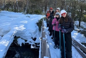 Lagos Andinos, Pucón, Chile