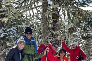 Lagos Andinos, Pucón, Chile