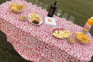 Andes Panoramico - Экскурсия с гидом из Сантьяго