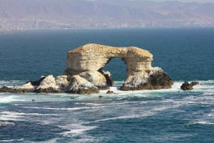 Antofagasta och Öknens hand: Chile