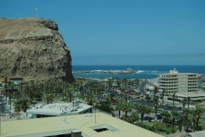 Arica: City tour com visita à praia de Chinchorro
