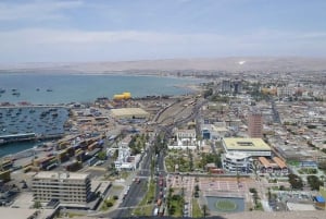 Arica: Kaupunkikierros ja Chinchorro Beach Visit