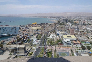 Arica: Stadsrondleiding met bezoek aan het Chinchorro strand