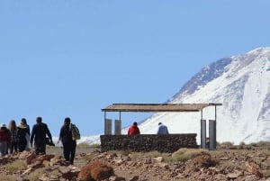 Ascent to Lascar Volcano