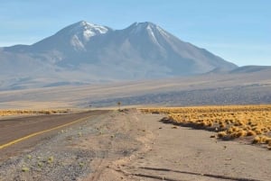 Ascent to Lascar Volcano