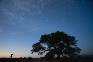 Antofagasta: Astronomical Tour with a Guide