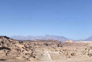Atacaman autiomaa ja Magic Bus -vierailu