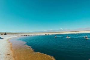 Deserto di Atacama: Galleggiamento nella Laguna Cejar e tramonto