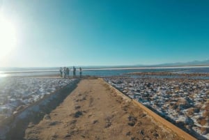 Deserto di Atacama: Galleggiamento nella Laguna Cejar e tramonto