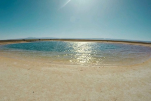 Deserto di Atacama: Galleggiamento nella Laguna Cejar e tramonto