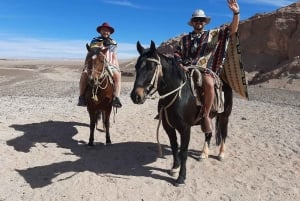 Atacama-ørkenen: Eventyr på hesteryg med naturskønne udsigter