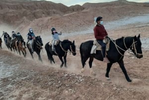 Atacama-ørkenen: Eventyr på hesteryg med naturskønne udsigter