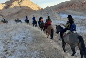 Atacama-ørkenen: Eventyr på hesteryg med naturskønne udsigter