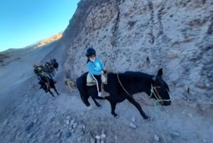 Atacama-ørkenen: Eventyr på hesteryg med naturskønne udsigter