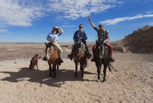 Atacama-ørkenen: Eventyr på hesteryg med naturskønne udsigter