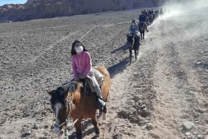 Atacama-ørkenen: Eventyr på hesteryg med naturskønne udsigter