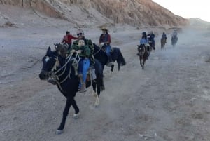 Atacama-ørkenen: Eventyr på hesteryg med naturskønne udsigter