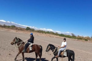 Atacama-ørkenen: Eventyr på hesteryg med naturskønne udsigter