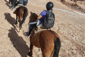 Atacama-ørkenen: Eventyr på hesteryg med naturskønne udsigter