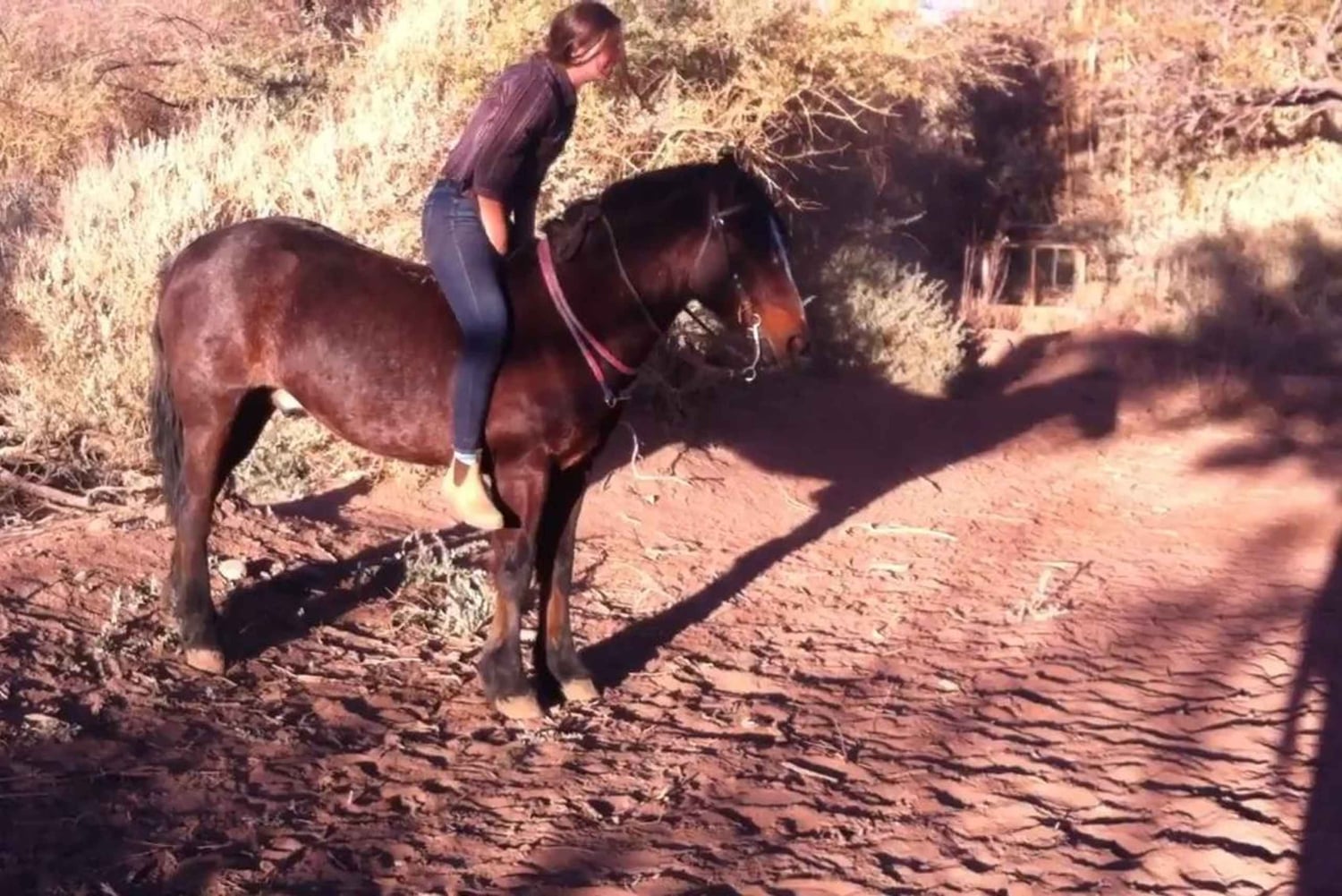 Atacama-Wüste: Reitabenteuer mit Panoramablick