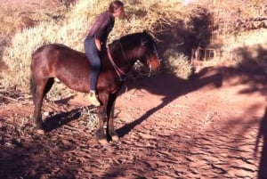 Deserto di Atacama: avventura a cavallo con viste panoramiche