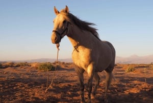 Deserto di Atacama: avventura a cavallo con viste panoramiche