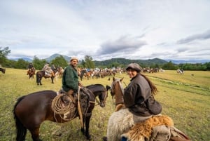 Atacama-Wüste: Reitabenteuer mit Panoramablick