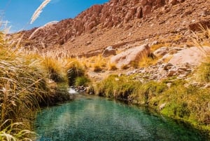 Atacama: Termas de Puritama varme kilder