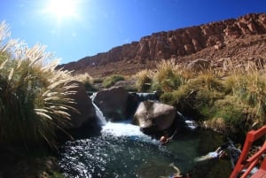 Atacama: Termas de Puritama varme kilder